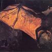 Vincent van Gogh A Flying Fox Print