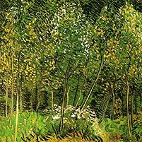 Vincent van Gogh The Grove Fine Art Print
