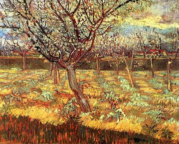 Vincent van Gogh Apricot Trees in Blossom 2 Canvas Print