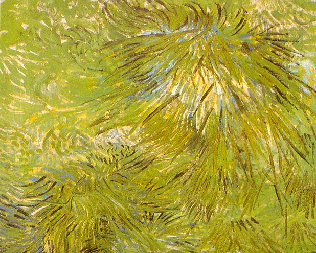 Vincent van Gogh Grass 24 Inch Canvas Print