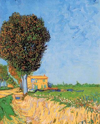 Vincent van Gogh A Lane Near Arles Canvas Print