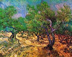 Vincent van Gogh Olive Grove Print