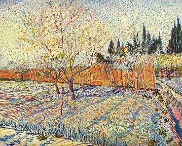 Vincent van Gogh Orchard with Cypress Canvas Print