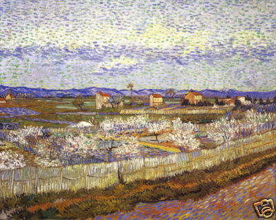 Vincent van Gogh The Crau at Arles, Peach Trees in Flower Canvas Print