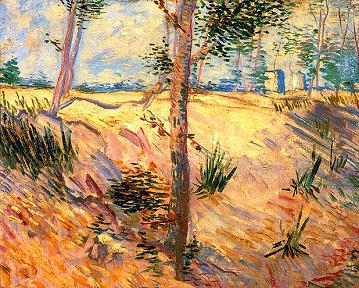 Vincent van Gogh Trees in a Field on a Sunny Day Canvas Print