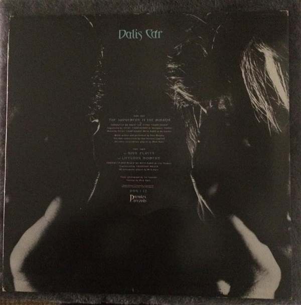 vinyl