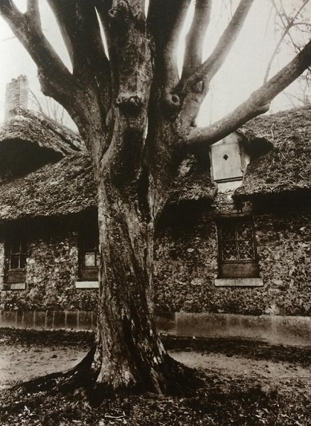 photograph
