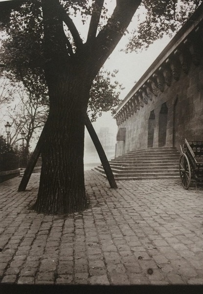 photograph