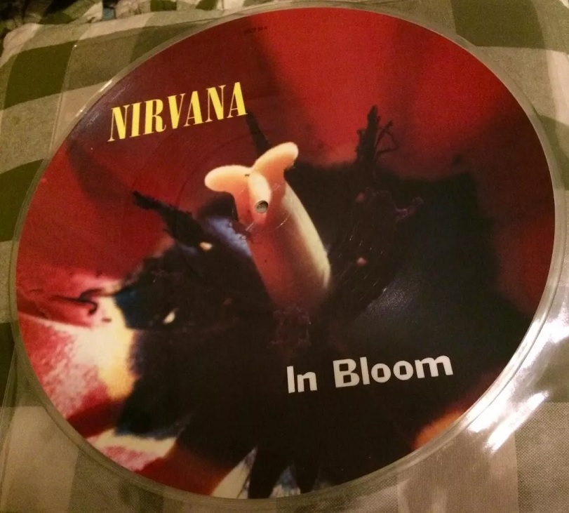 Nirvana ‎– In Bloom 12