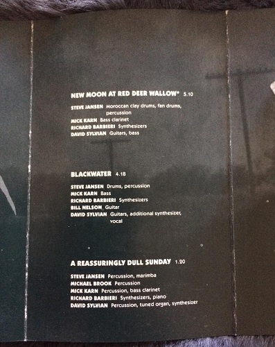 Rain Tree Crow Cassette