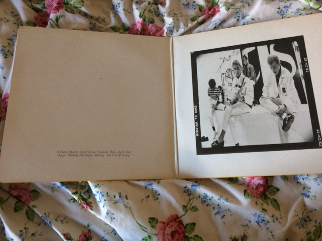 style council signed LP